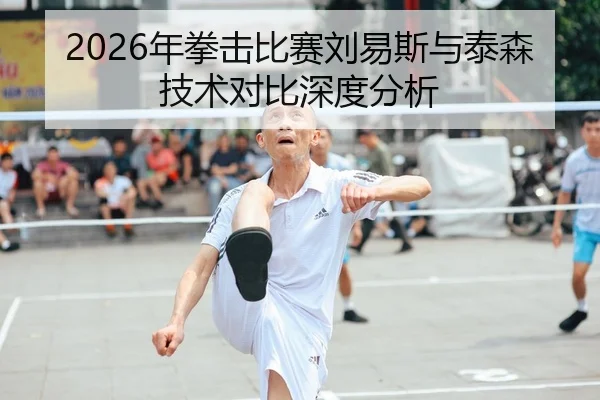 2026年拳击比赛刘易斯与泰森技术对比深度分析