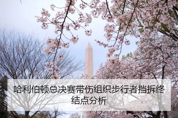 哈利伯顿总决赛带伤组织步行者挡拆终结点分析