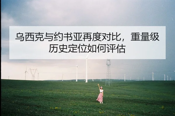 乌西克与约书亚再度对比，重量级历史定位如何评估
