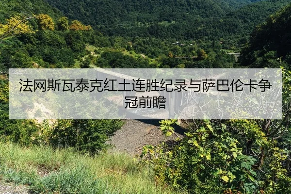 fa-wang-si-wa-tai-ke-hong-tu-lian-sheng-ji-lu-yu-sa-ba-lun-ka-zheng-guan-qian-zhan-2-717.jpg