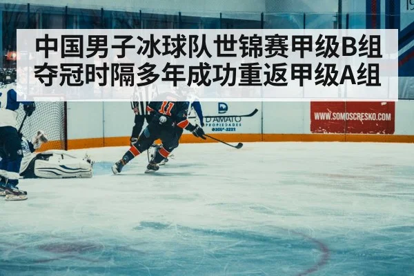 ice hockey match action