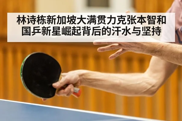 林诗栋新加坡大满贯力克张本智和 国乒新星崛起背后的汗水与坚持